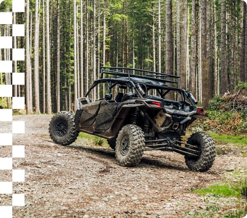 Side-by-side buggy on a pine forest track